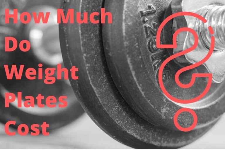 how-much-do-weight-plates-cost-list-of-popular-models-home-gym-resource