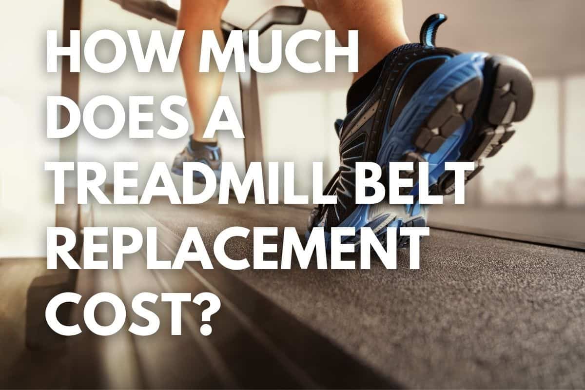 Details about   Treadmill Running Belts Avanti Xfit 209L Treadmill Belt Replacement 