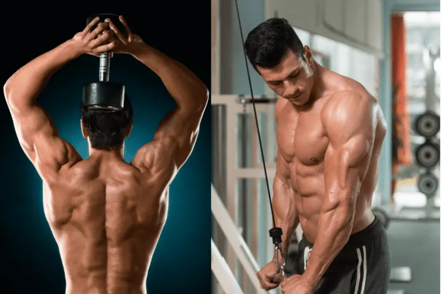 Image of different triceps exercises.